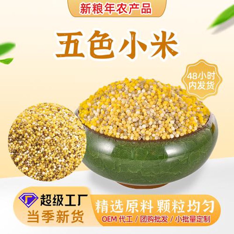 杂粮批发市场动态：行业新趋势与机遇